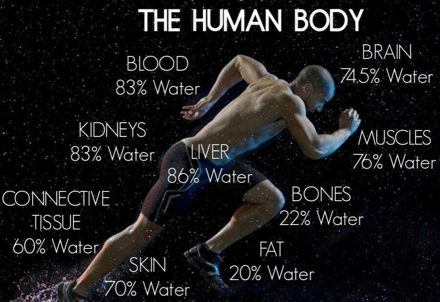 The-Human-Body-water-image