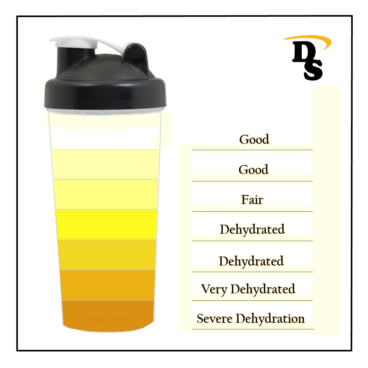 urine-hydration-scale